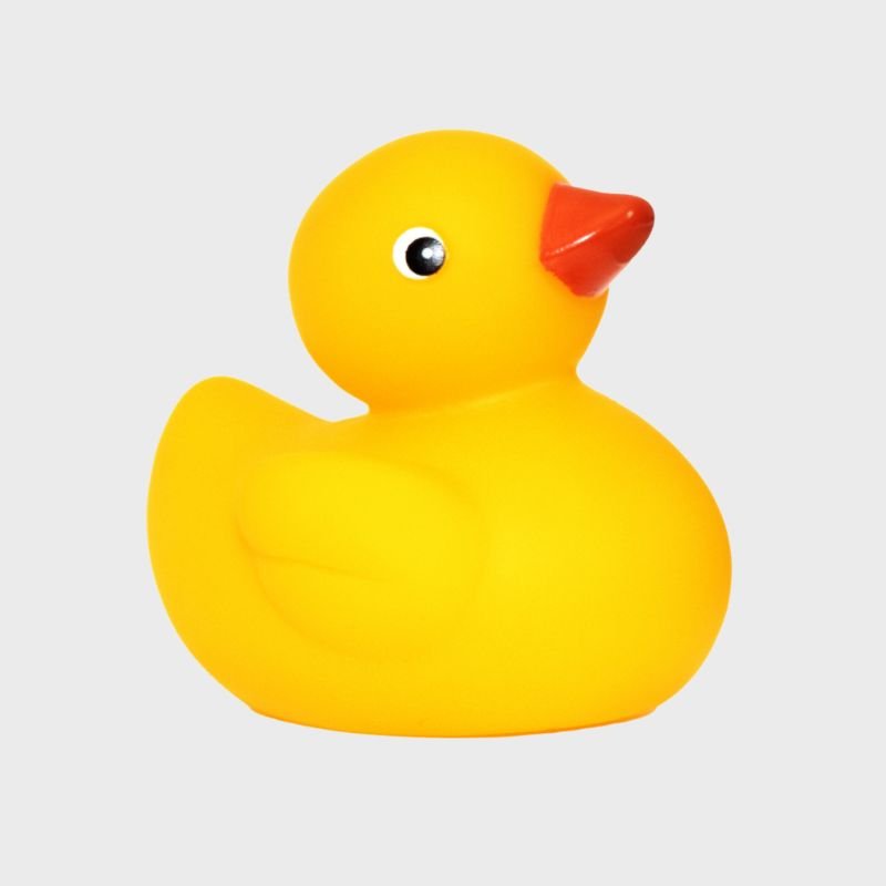 Duck Bath